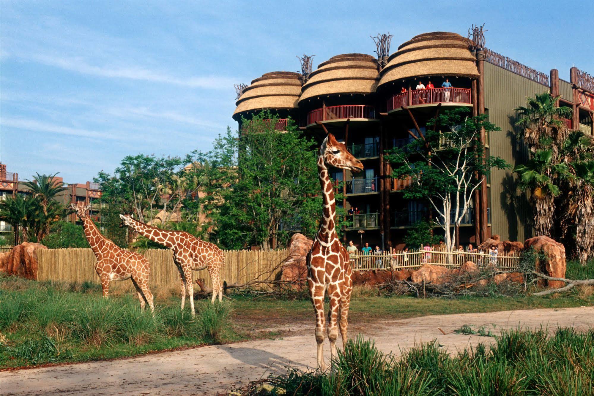 Disney'S Animal Kingdom Villas - Kidani Village Lake Buena Vista Eksteriør bilde